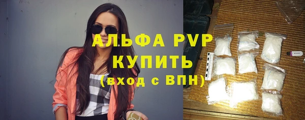 хмурый Белокуриха