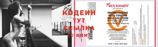 хмурый Белокуриха