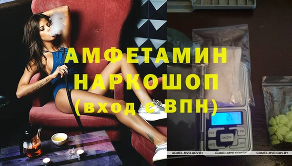 хмурый Белокуриха