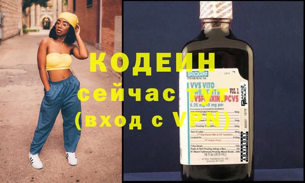хмурый Белокуриха