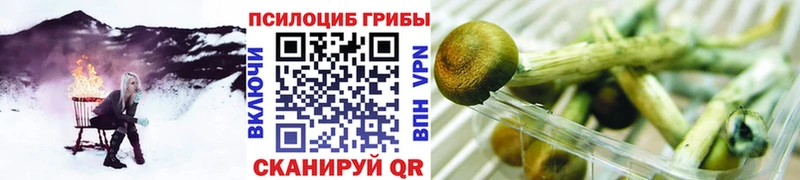 Галлюциногенные грибы ЛСД купить наркотик Воткинск